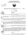 Vista preliminar de documento RDR 5452-2024