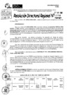Vista preliminar de documento RDR 5706-2024