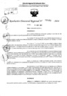 Vista preliminar de documento RDR 5463-2024