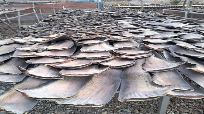 Se presume que el cargamento incautado abastecería a los mercados informales que operan en la zona norte del país para ser exportado, como si se tratará de un producto formal, al mercado asiático.