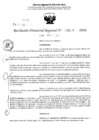 Vista preliminar de documento RDR 5029-2024