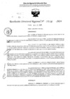 Vista preliminar de documento RDR 5030-2024