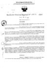 Vista preliminar de documento RDR 5033-2024