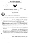 Vista preliminar de documento RDR 5039-2024