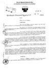 Vista preliminar de documento RDR 4285-2024