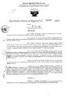 Vista preliminar de documento RDR 5040-2024