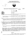 Vista preliminar de documento RDR 5041-2024