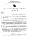 Vista preliminar de documento RDR 5044-2024