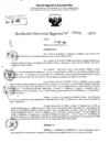 Vista preliminar de documento RDR 5471-2024