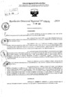 Vista preliminar de documento RDR 5470-2024