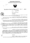 Vista preliminar de documento RDR 5047-2024