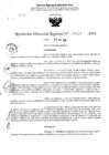 Vista preliminar de documento RDR 5048-2024