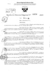Vista preliminar de documento RDR 3709-2024