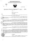 Vista preliminar de documento RDR 4301-2024