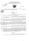 Vista preliminar de documento RDR 4302-2024