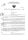 Vista preliminar de documento RDR 4304-2024