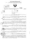 Vista preliminar de documento RDR 3710-2024