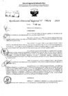 Vista preliminar de documento RDR 5476-2024