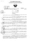 Vista preliminar de documento RDR 3713-2024