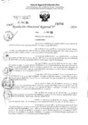 Vista preliminar de documento RDR 3714-2024