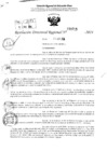 Vista preliminar de documento RDR 3715-2024
