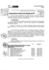 Vista preliminar de documento RDR 5722-2024