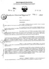 Vista preliminar de documento RDR 4305-2024