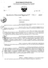 Vista preliminar de documento RDR 4307-2024