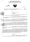 Vista preliminar de documento RDR 4308-2024