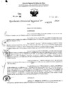 Vista preliminar de documento RDR 4309-2024