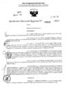Vista preliminar de documento RDR 4310-2024