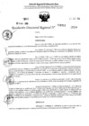 Vista preliminar de documento RDR 4311-2024