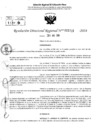 Vista preliminar de documento RDR 5723-2024