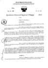Vista preliminar de documento RDR 4312-2024