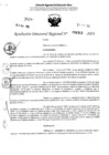 Vista preliminar de documento RDR 4313-2024
