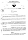 Vista preliminar de documento RDR 4314-2024