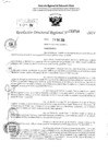 Vista preliminar de documento RDR 3718-2024