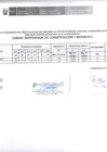 Vista preliminar de documento Resultado Preliminar