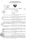 Vista preliminar de documento RDR 3722-2024