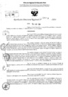 Vista preliminar de documento RDR 5729-2024