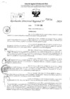 Vista preliminar de documento RDR 3724-2024