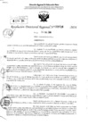 Vista preliminar de documento RDR 3726-2024