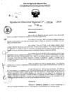 Vista preliminar de documento RDR 5334-2024