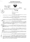 Vista preliminar de documento RDR 3735-2024