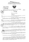 Vista preliminar de documento RDR 3740-2024