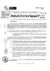 Vista preliminar de documento RDR 5489-2024