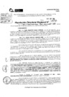 Vista preliminar de documento RDR 5201-2024