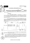 Vista preliminar de documento RDR 5202-2024