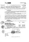 Vista preliminar de documento RDR 5205-2024