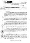 Vista preliminar de documento RDR 5496-2024